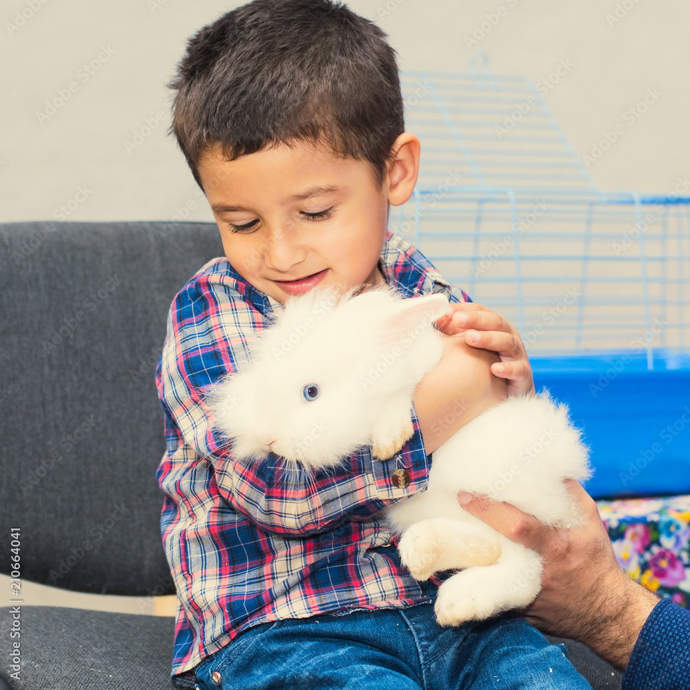 brunette boy is holding a white rabbit. Love for animals. brunette boy is holding a white rabbit. Love for animals.
