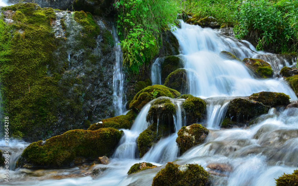 Fototapeta premium Pınar