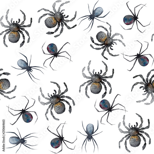 watercolour pattern spider animal © NATALIIA TOSUN