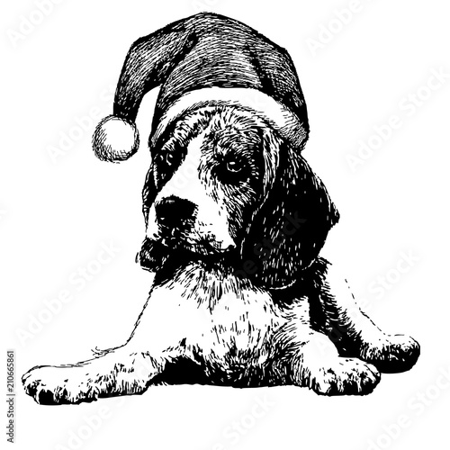 Beagle dog with christmas santa hat