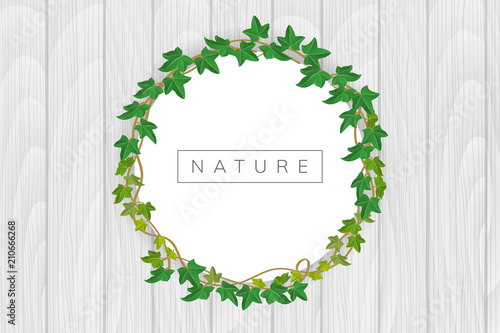 Round frame with green ivy, on white wood texture background. Vector illustration for nature design and banner