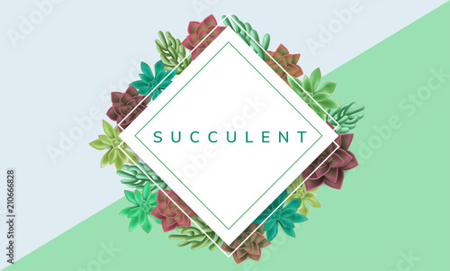 Simple square paper frame with colorful succulent plants. Vector illustration for nature design