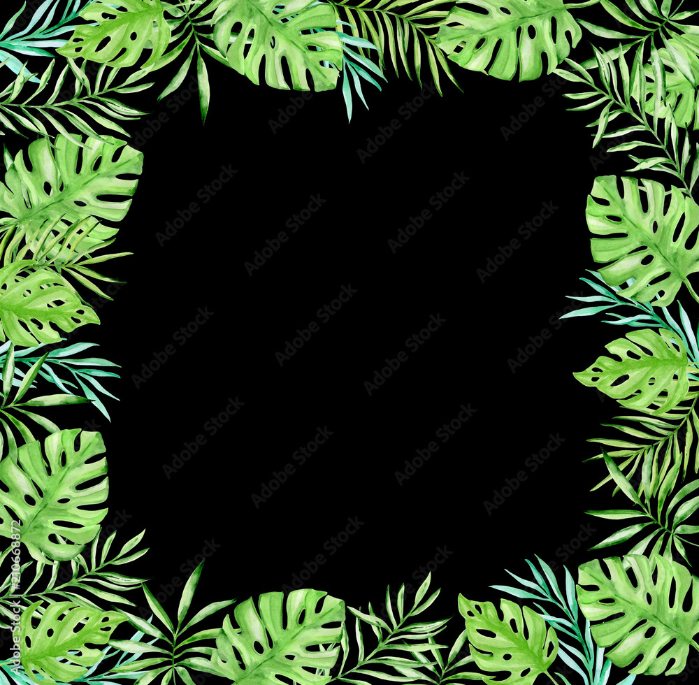 Green palm leaves on a black background Green palm leaves on a black background