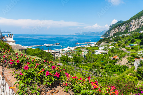 Fototapeta Naklejka Na Ścianę i Meble -  Red Dipladenia flowers with Capri coastline on the background