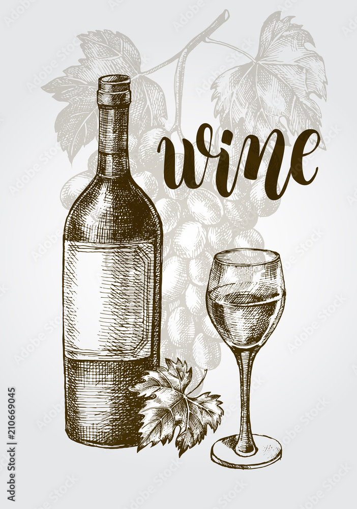 Background with a bunch of grapes, bottle, glass. Wine concept. Ink hand  drawn Vector illustration with brush calligraphy style lettering. design  element for a wine shop. Stock Vector | Adobe Stock