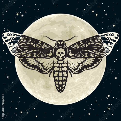 Death head hawkmoth on the full Moon and night sky background. Skull moth butterfly. Vector