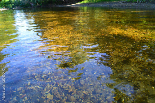 Fototapeta Naklejka Na Ścianę i Meble -  the river bottom