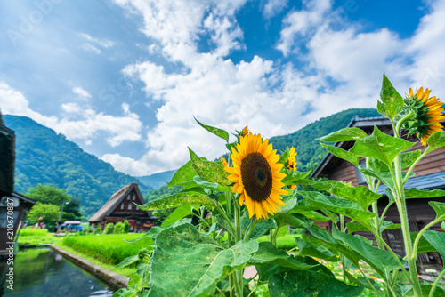 初夏の五箇山