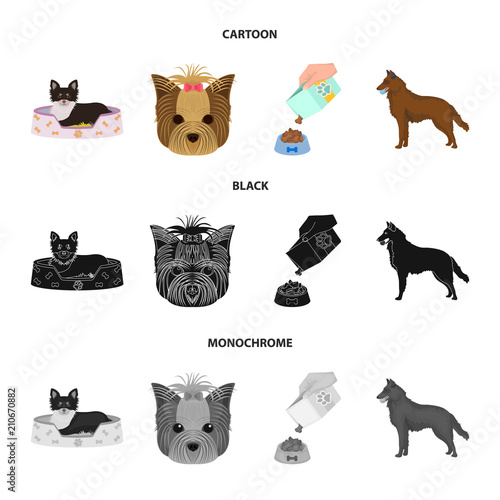 A dog in a lounger , a muzzle of a pet, a bowl with a feed, a sheepdog with a ball in his teeth. Pet ,dog care set collection icons in cartoon,black,monochrome style vector symbol stock illustration