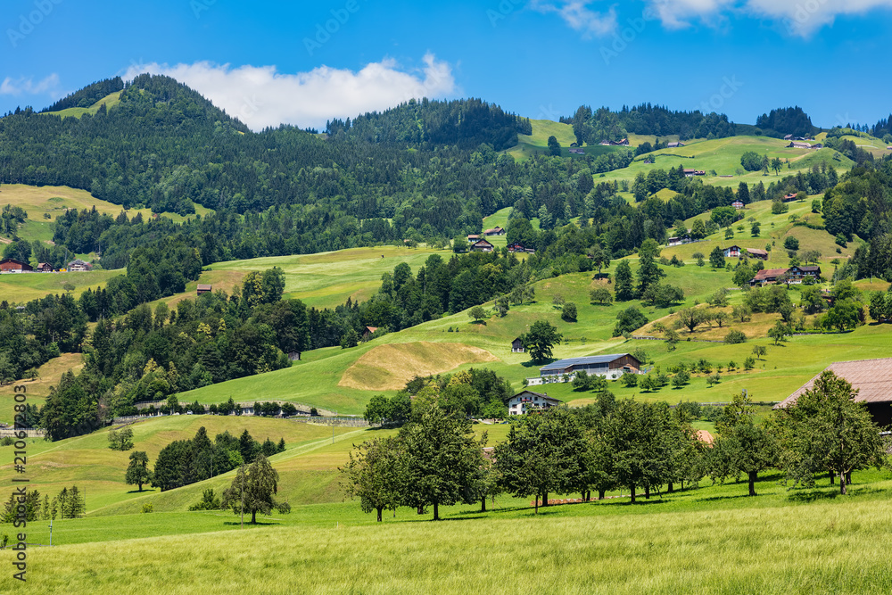 A summertime view in the Swiss canton of Schwyz