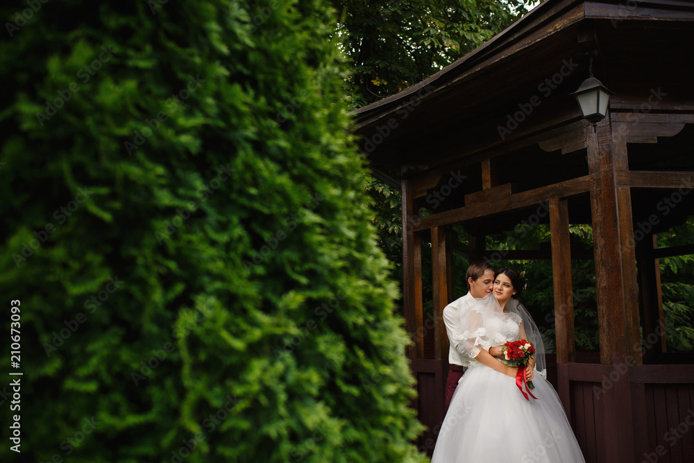 Fototapeta premium Groom embraces his stunning bride, standing in the park together after wedding ceremony.