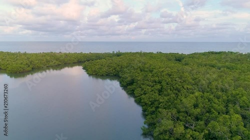 Florida Coast Aerial