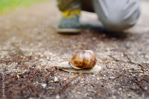 Little boy looking on big snail during hike in forest