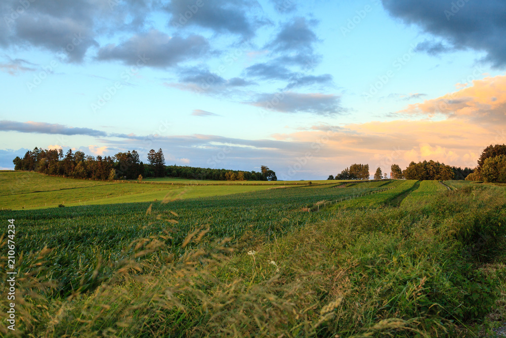 Bezaubernde Landschaft mit sanften Hügeln in Nordrhein- Westfalen