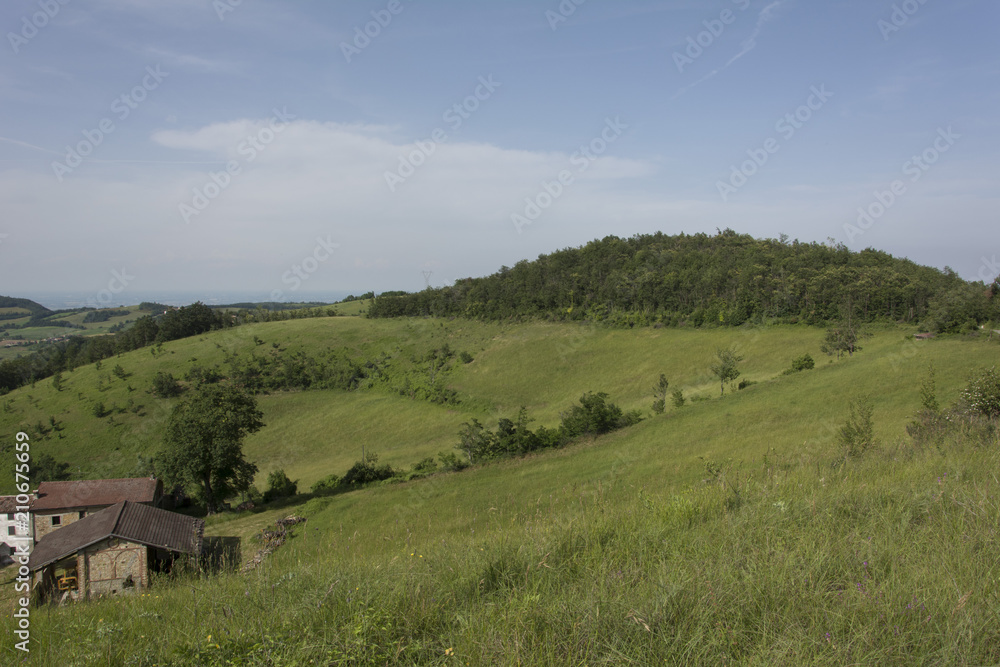 Panorama