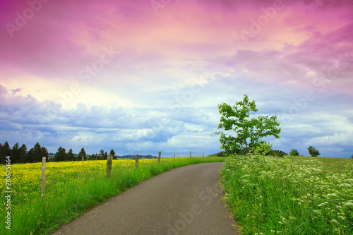 Summer field with road and pink sky.