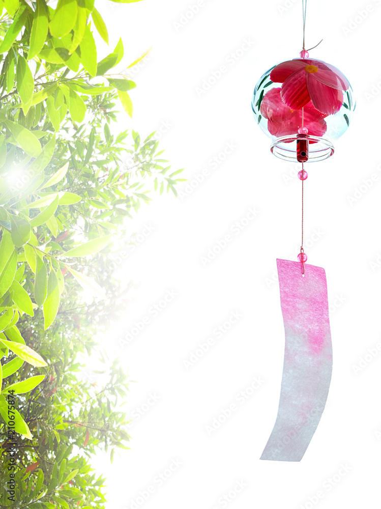 風鈴 赤い花 夏 新緑 Stock Photo Adobe Stock