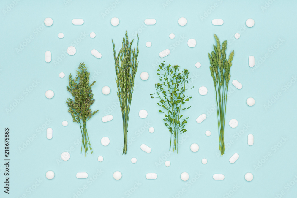 Allergy. Allergens, antihistamin pills, seasonal allergies. Minimal flat lay grass pollen allergy concept. Allergy. Allergens, antihistamin pills, seasonal allergies. Minimal flat lay grass pollen allergy concept.