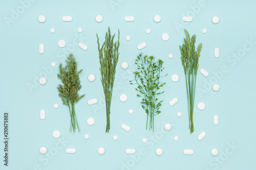 Allergy. Allergens, antihistamin pills, seasonal allergies. Minimal flat lay grass pollen allergy concept.