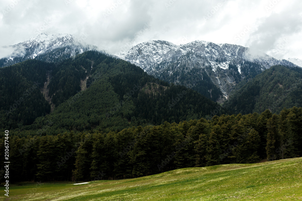 Clouddy Himalaya mountains with pine trees forest