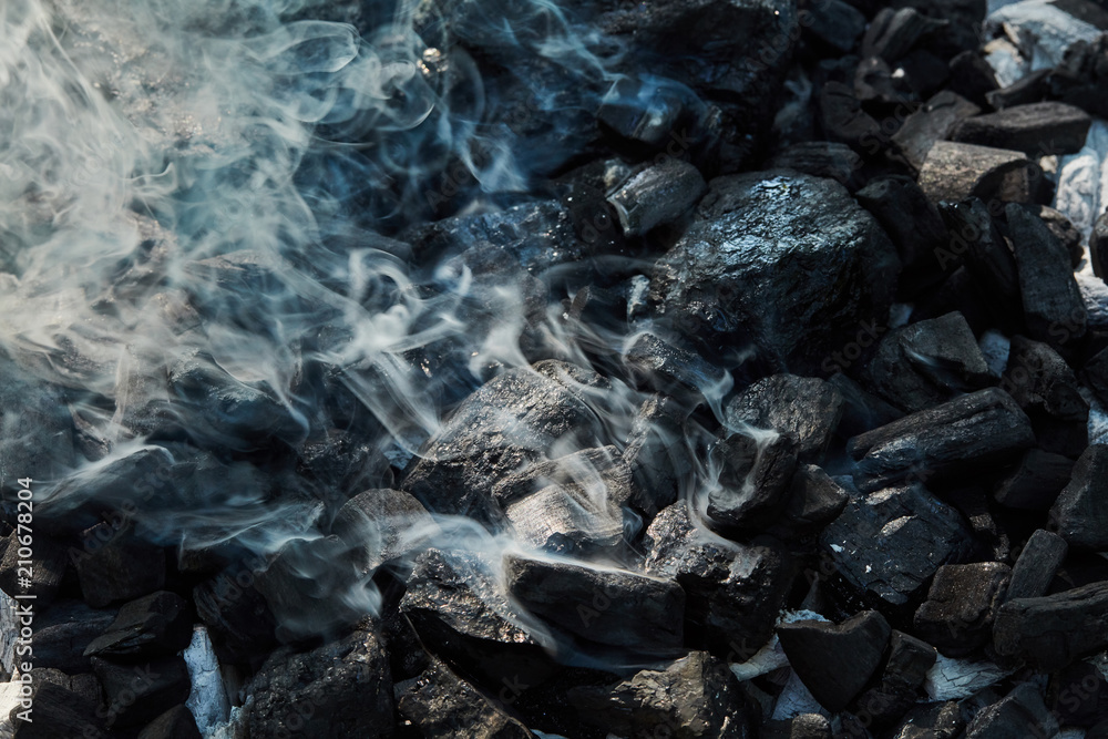 Orange wild fire burning on black coal and ash, prepared for barbecue grill Orange wild fire burning on black coal and ash, prepared for barbecue grill