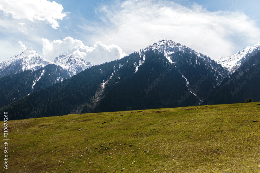 Grass meadow and snow Himalaya forest mountain 