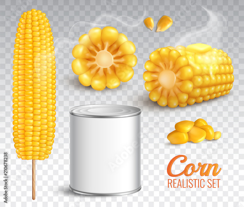 Realistic Corn Transparent Set