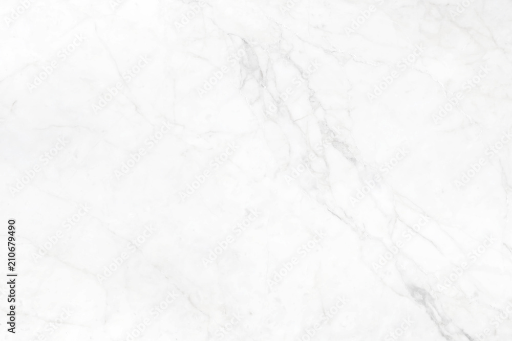 Fototapeta premium Abstract white marble background with natural motifs.