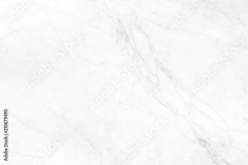 Abstract white marble background with natural motifs.