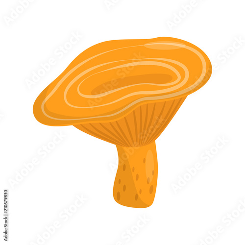 Icon of orange chanterelle. Most famous type of edible forest mushrooms. Natural product. Flat vector for infographic poster