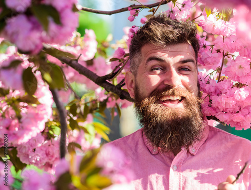 Hipster in pink shirt near branch of sakura. Harmony with nature concept. Man with beard and mustache on smiling face near flowers. Bearded man with stylish haircut with sakura flowers on background.