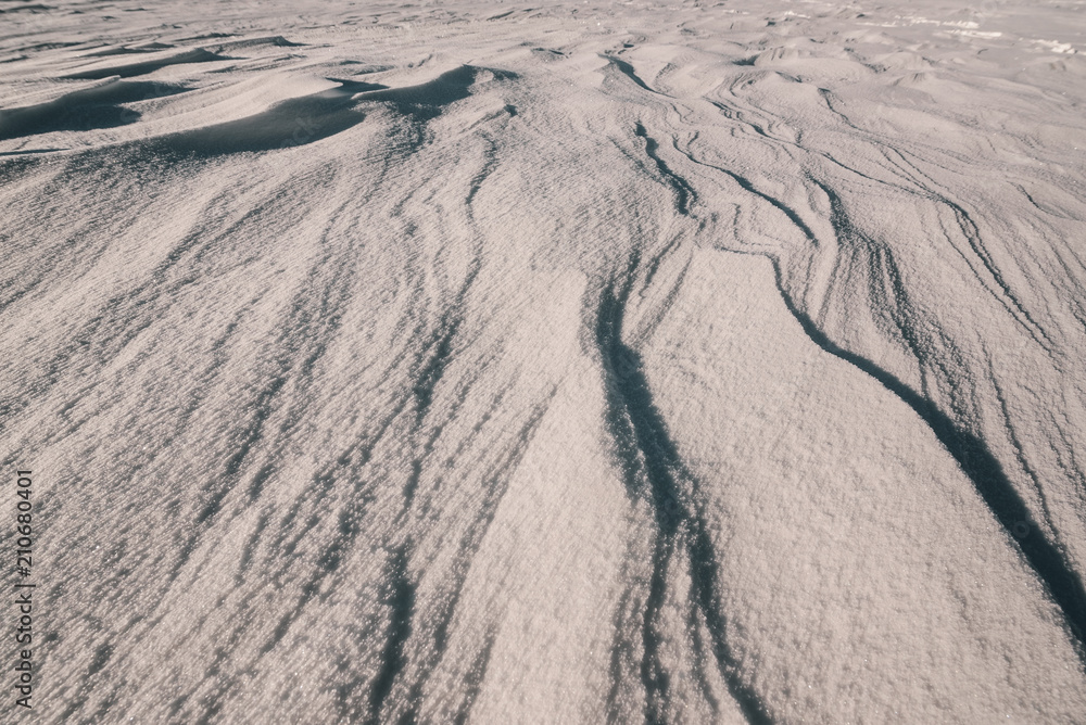 Fototapeta premium A Field of snow in winter season. Beautiful effect