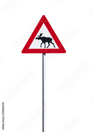 Schild Vorsicht Elch