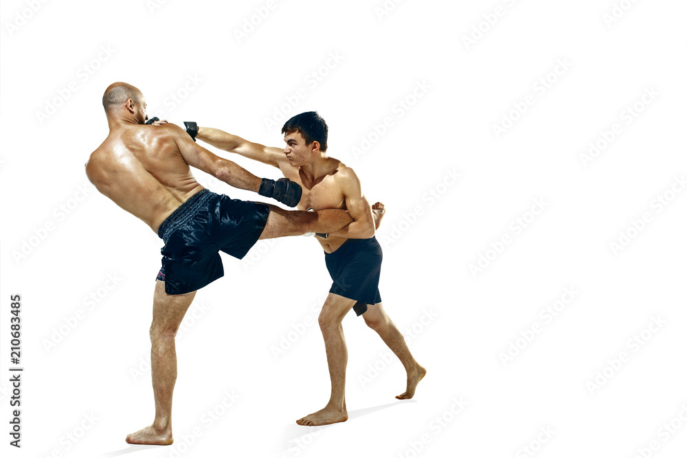 Two professional boxer boxing isolated on white studio background Two professional boxer boxing isolated on white studio background