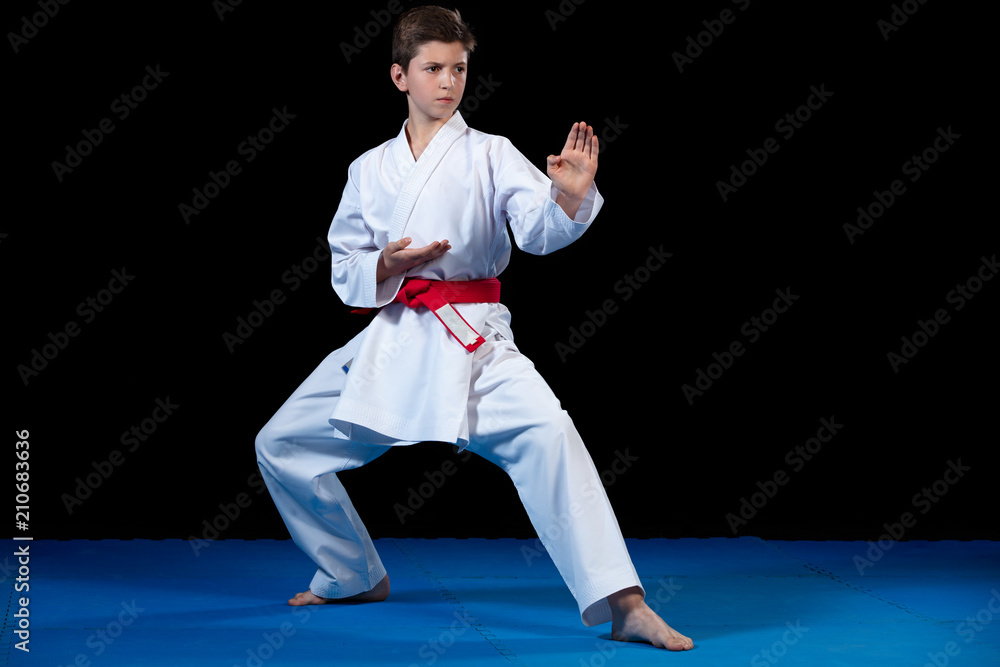 Young boy dressed in a white karate kimono with red belt. Young boy dressed in a white karate kimono with red belt.