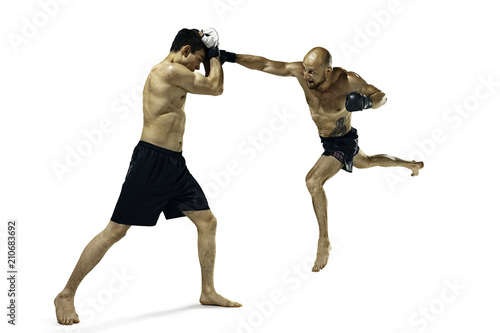 Two professional boxer boxing isolated on white studio background