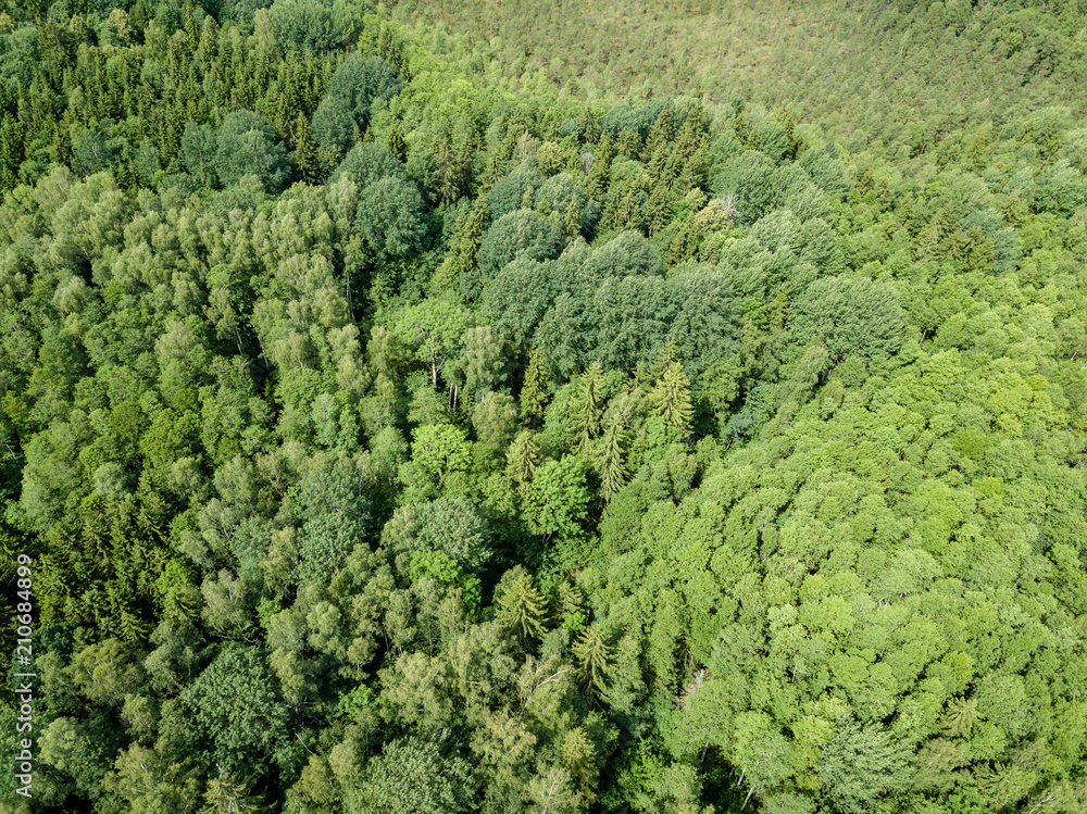 drone image. aerial view of rural area with fields and forests