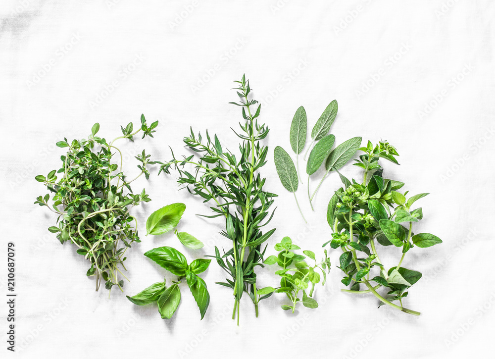 Range of fragrant garden herbs on a light background-tarragon, thyme, oregano, basil, sage, mint. Healthy ingredients, top view. Copy space, flat lay - obrazy, fototapety, plakaty 