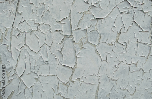 Fototapeta Naklejka Na Ścianę i Meble -  Abstract grey color background.