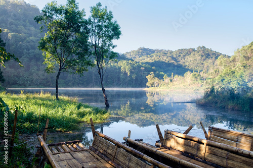 Beautiful scenery view with fog and sunlight in forest