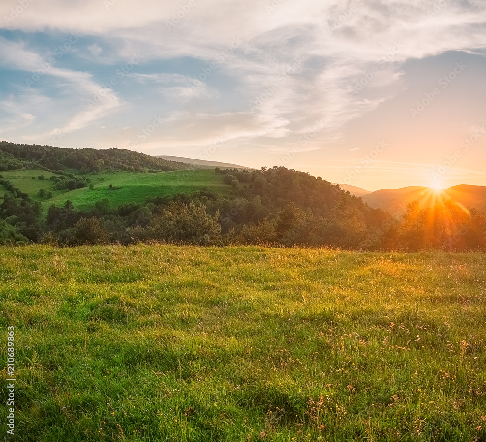 the sun at sunset in the evening lights up the fields with green grass and coniferous trees, landscape panorama