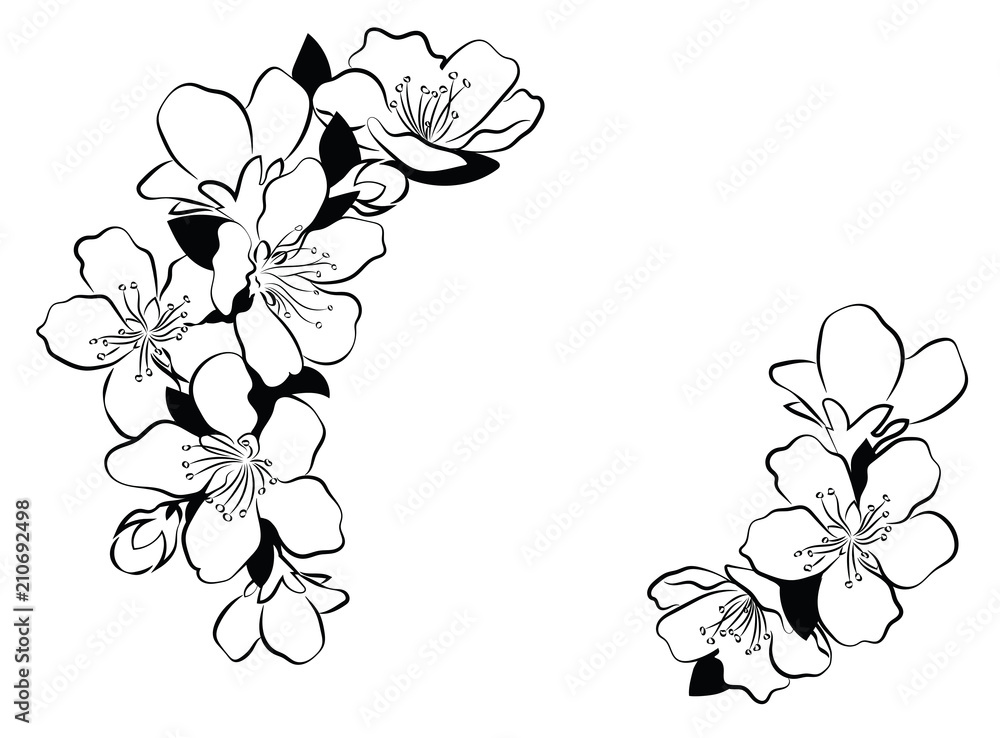 Blooming cherry. Sakura branch with flower buds. Black and white drawing of a blossoming tree in spring. Logo with Japanese cherry blossoms. Tattoo. Linear Art. Stock Vector