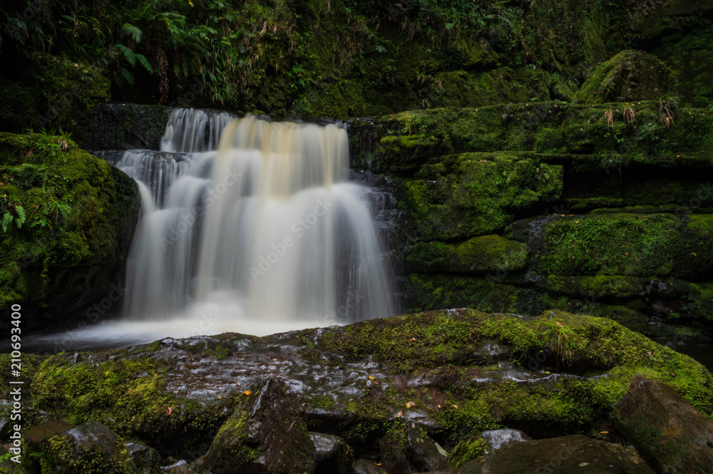 Wasserfall, Catlins, Neuseeland