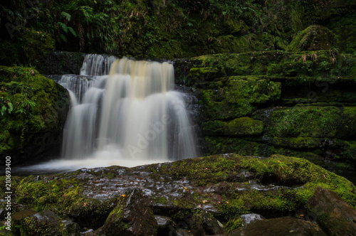 Fototapeta Naklejka Na Ścianę i Meble -  Wasserfall, Catlins, Neuseeland