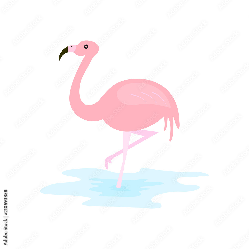 Fototapeta Różowa flamingo ilustracji wektorowych