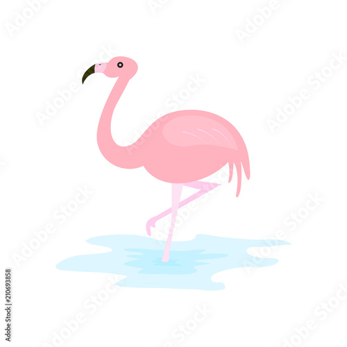 Pink flamingo vector illustration