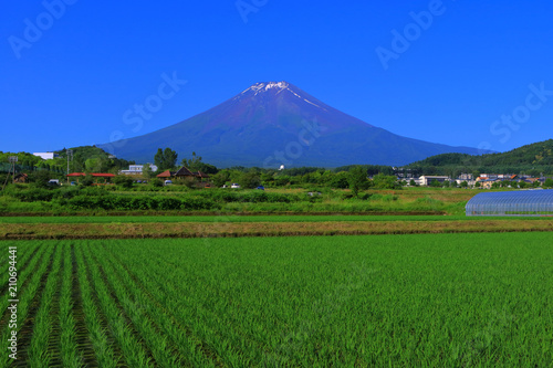 富士吉田からの青空快晴の富士山　2018/06/25