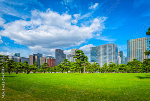 Fototapeta Naklejka Na Ścianę i Meble -  Modern building with green Zen garden on blue sky background in Tokyo, Japan.