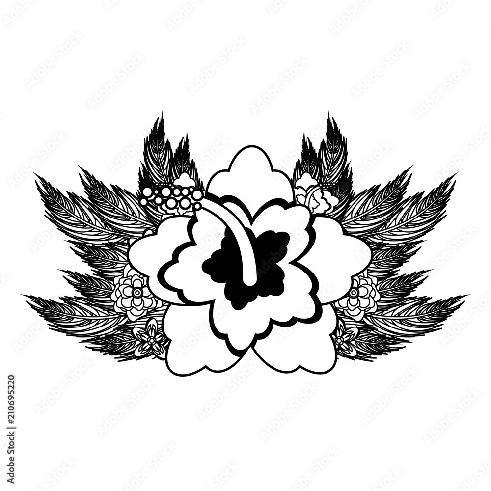 Beautiful flowers isolated vector illustration graphic design Beautiful flowers isolated vector illustration graphic design