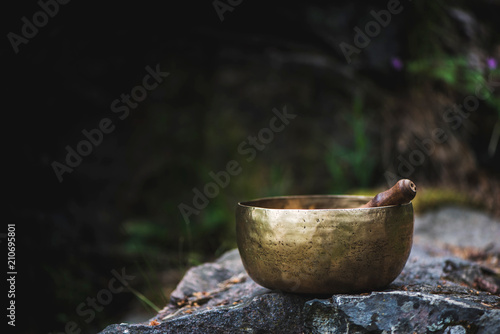 Tibetan bowl on rocks in the forest.
